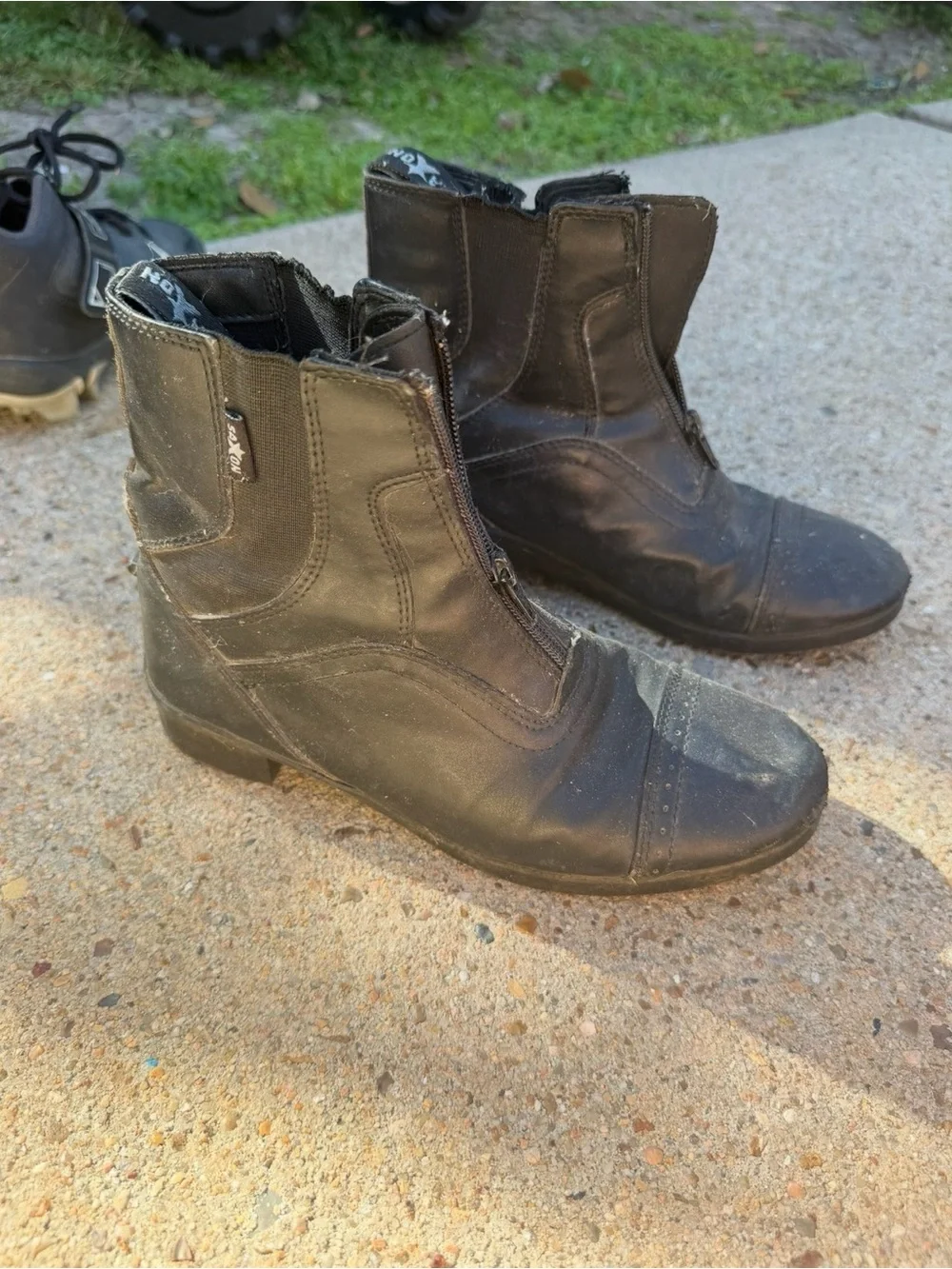 Saxon Paddock Boots Youth 4Y Black English Horse Riding Equestrian Jodhpur